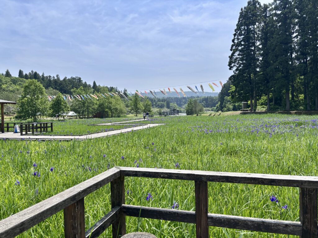柏崎市【柏崎・夢の森公園】
