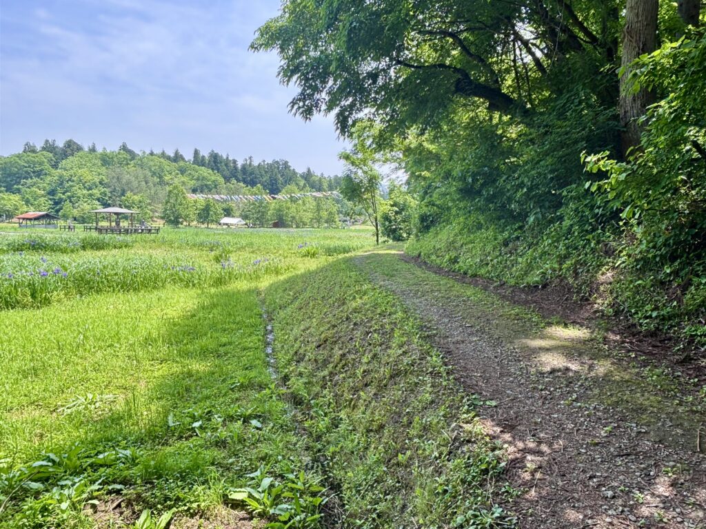 遊歩道4