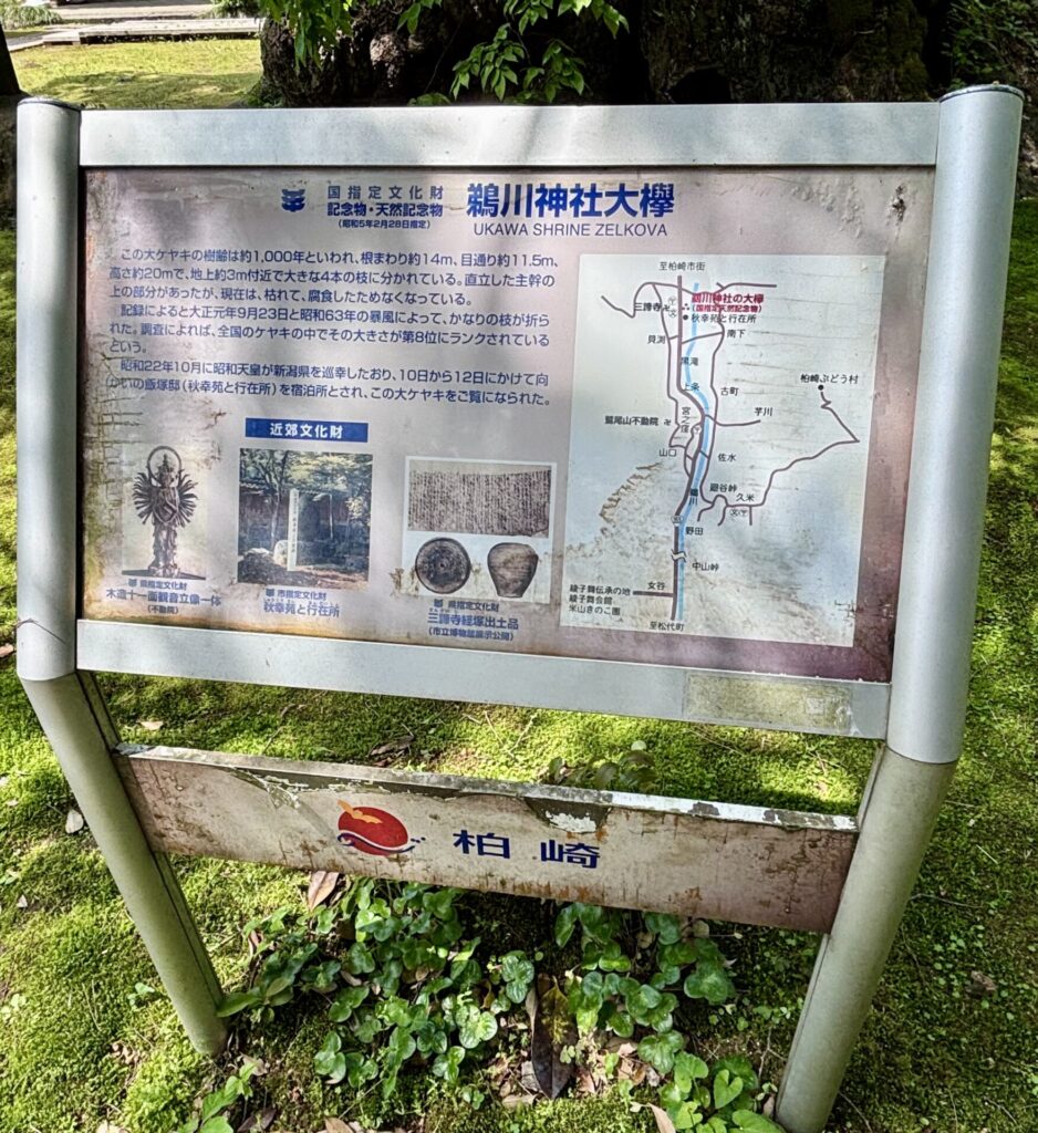 説明看板