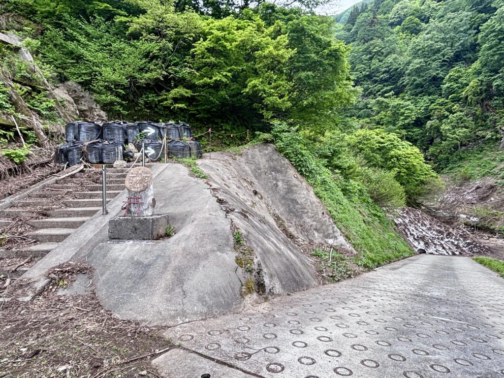 二手に分かれた道