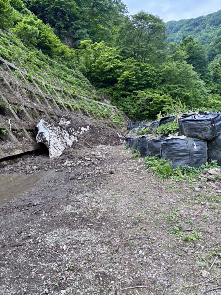 足場の悪い道1
