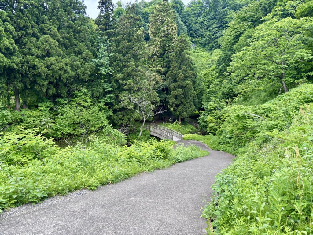 遊歩道1
