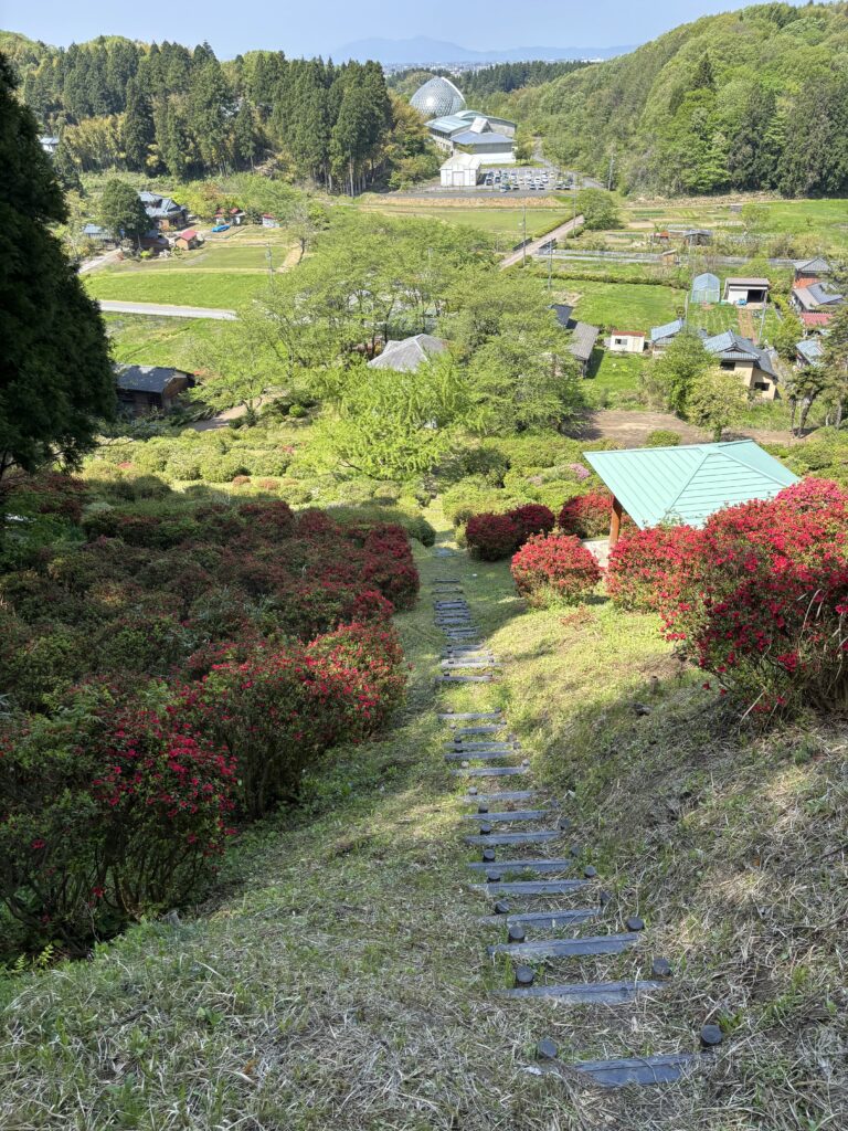 上から見た景色