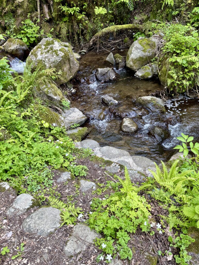 小川に降りられる石段
