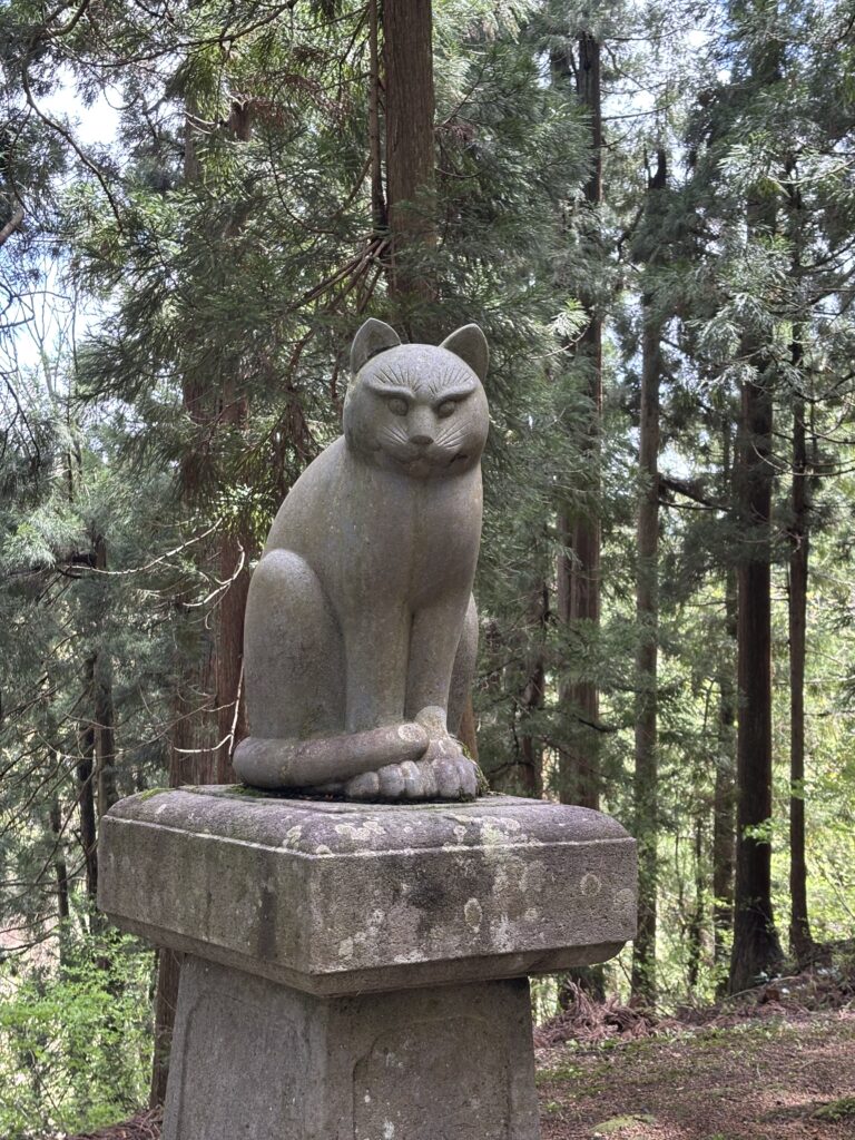 狛猫