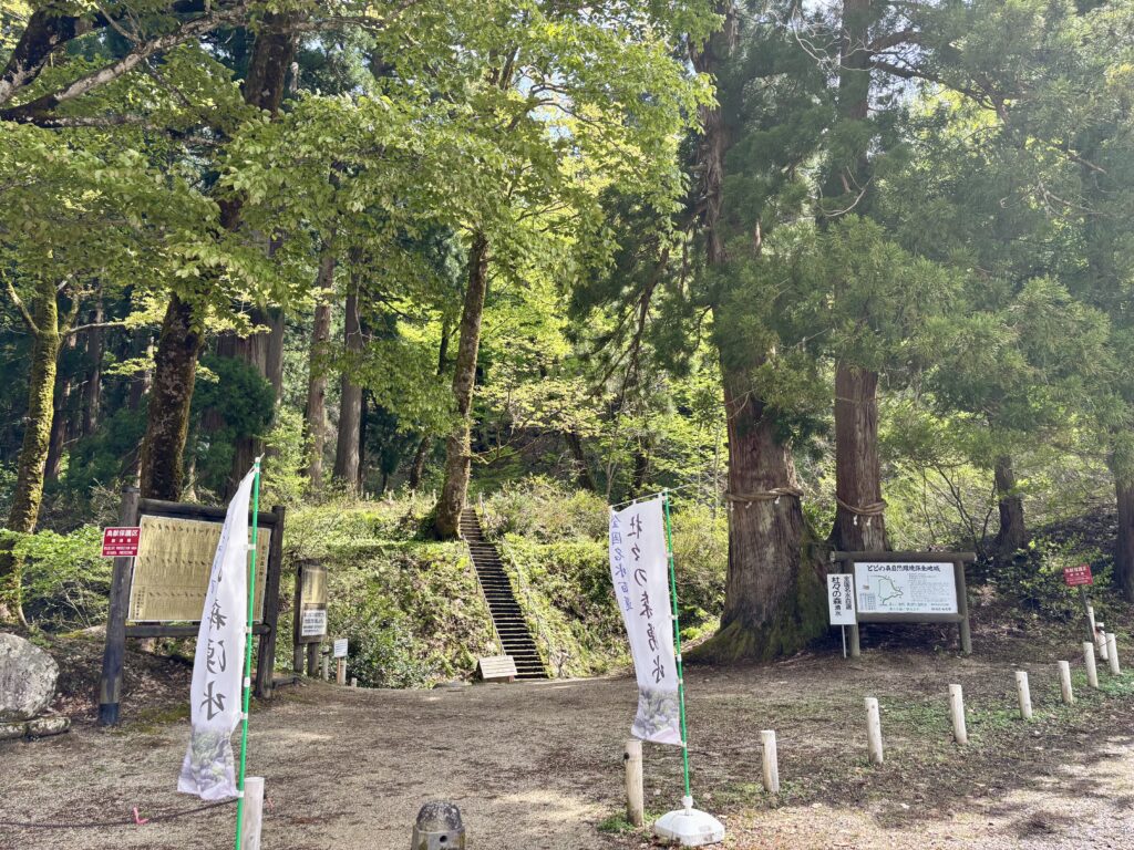 杜々の森湧水エリアの正面