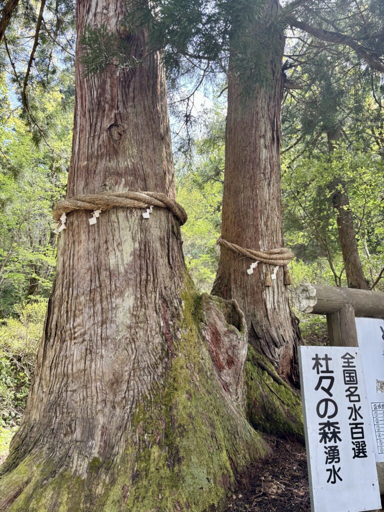 御神木