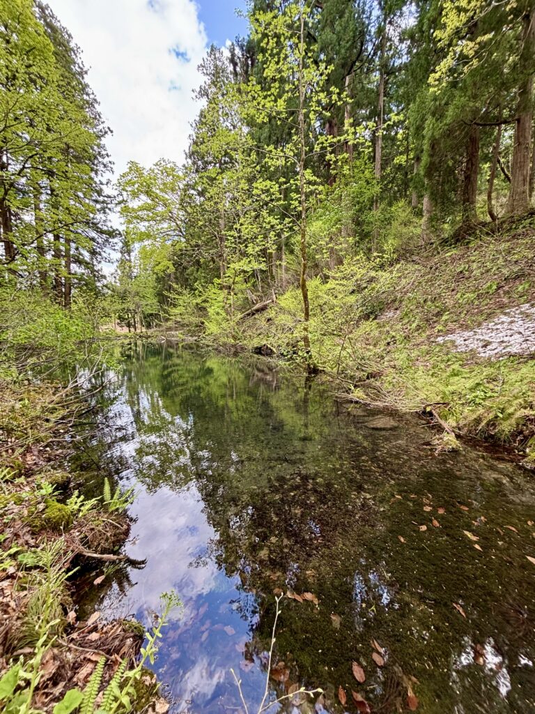 エメラルドグリーンの水1