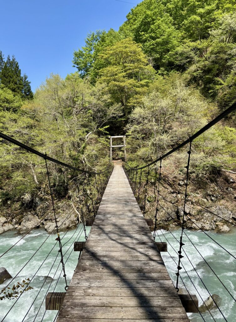 津南町【見倉橋】人数制限あり！スリル満点のゆれる吊り橋