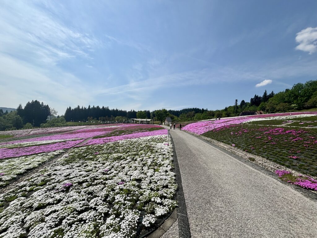 通路