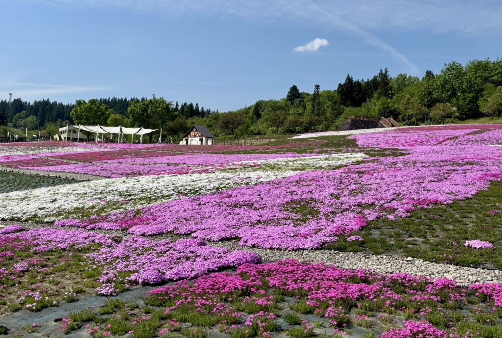 魚沼市【花と緑と雪の里公園】