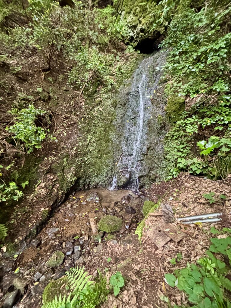 ごりんの滝