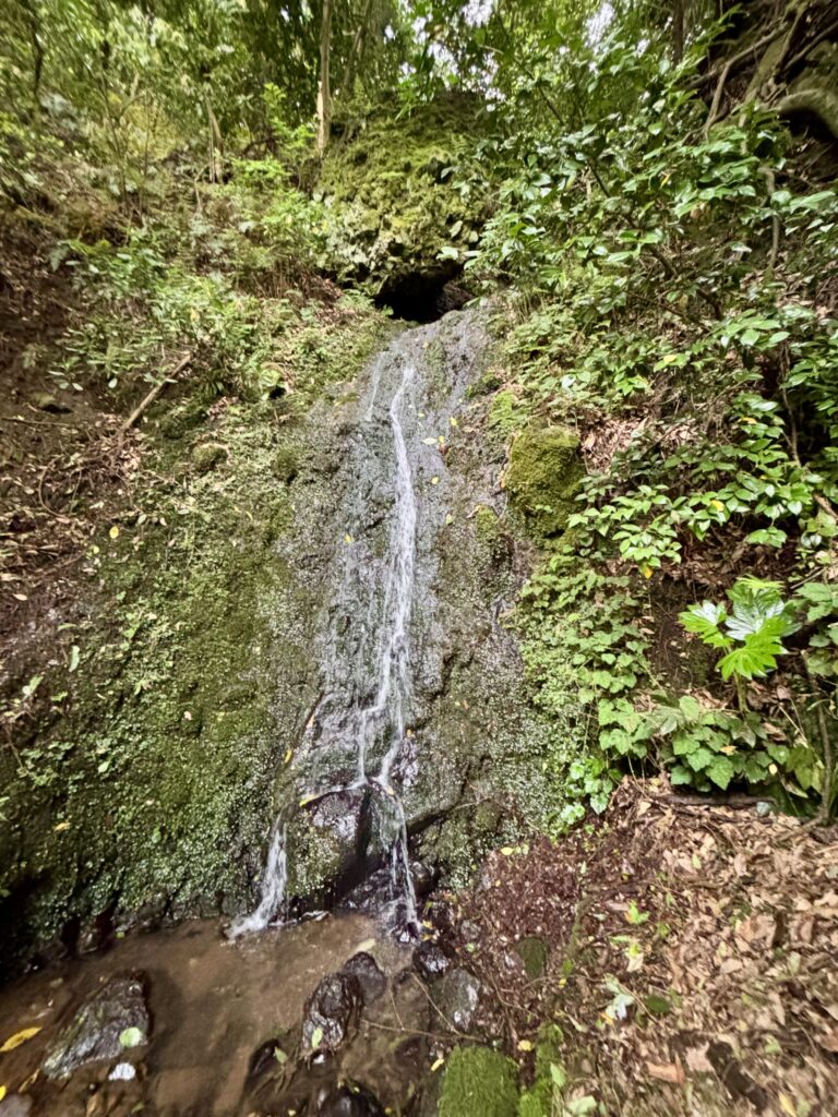 新潟市【ごりんの滝】角田山登山口にある隠れ滝スポット