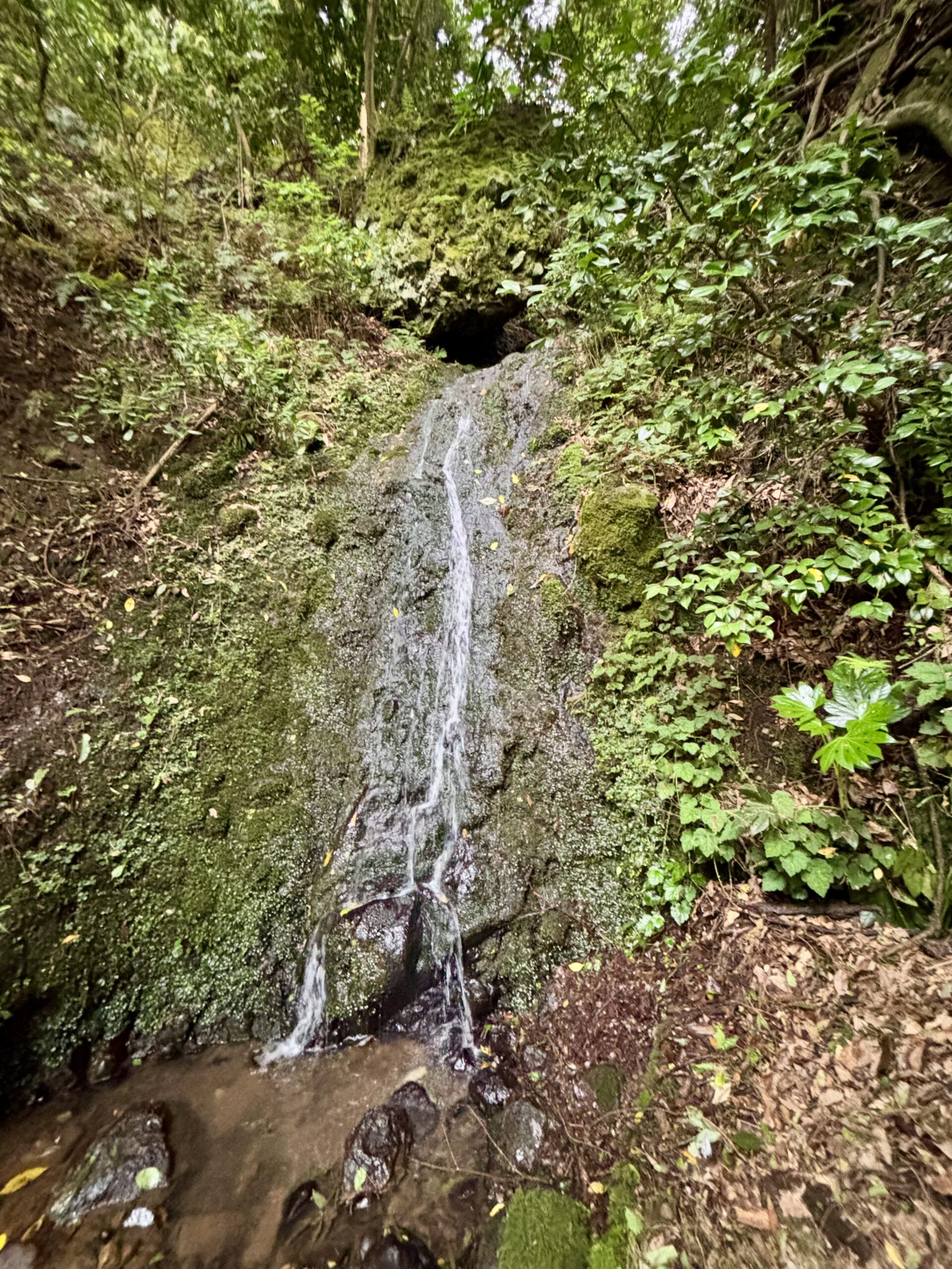 【ごりんの滝】角田山登山口にある隠れ滝スポット