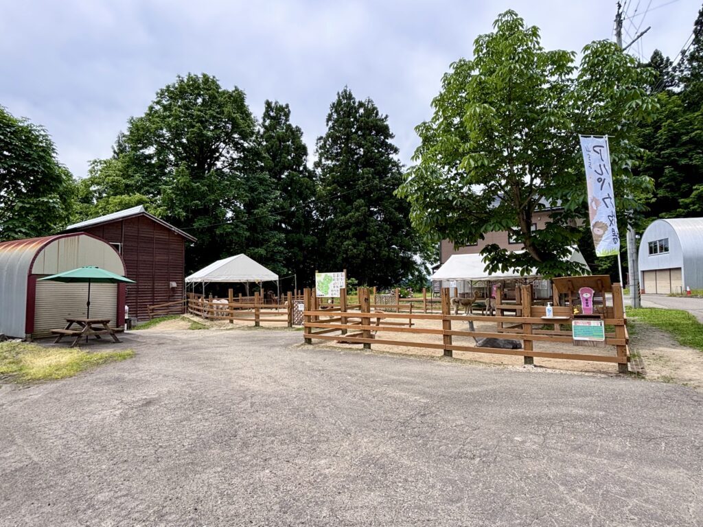 アルパカ牧場油夫牧場