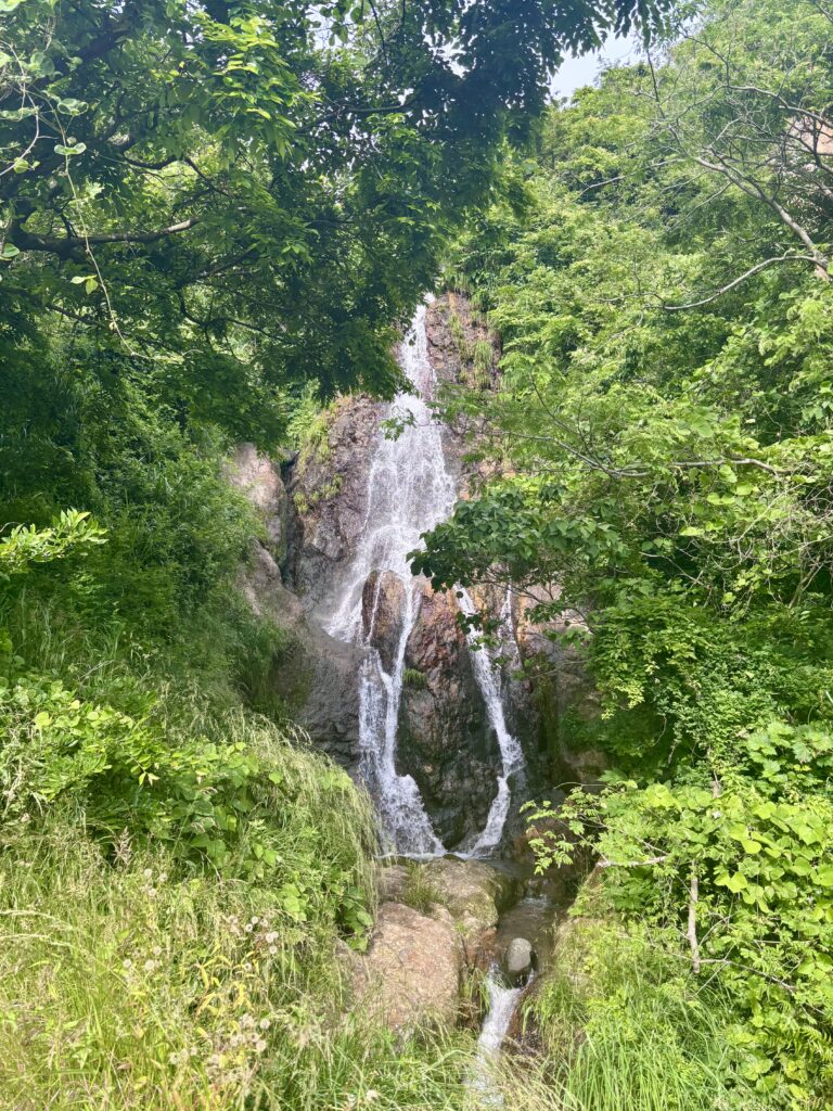 弥彦さまお清め滝1