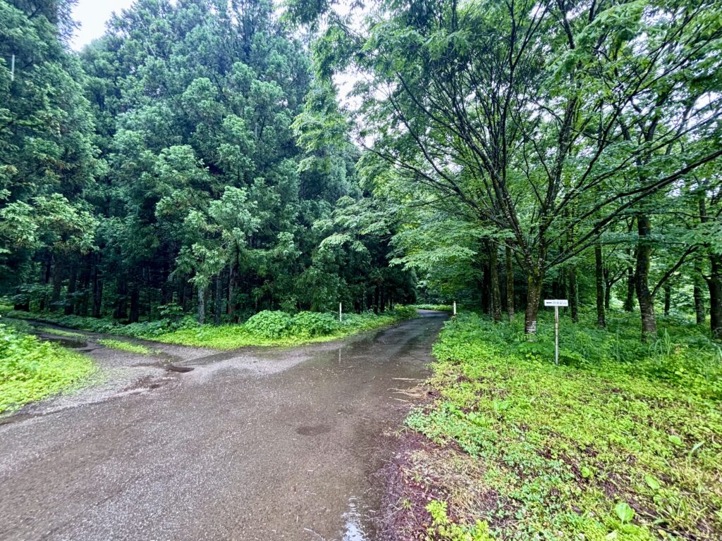 順路3