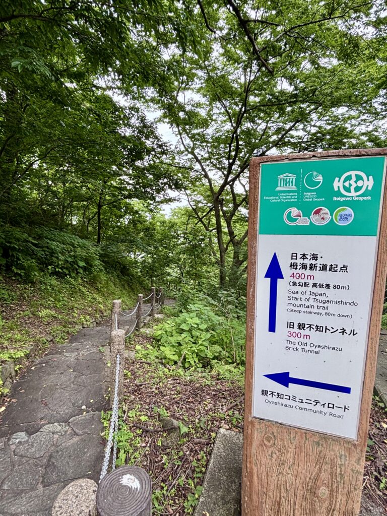 入口