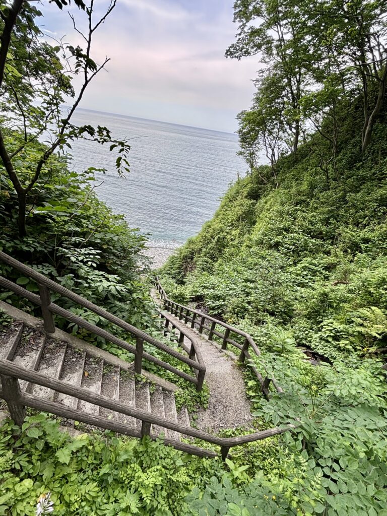 海岸への遊歩道2