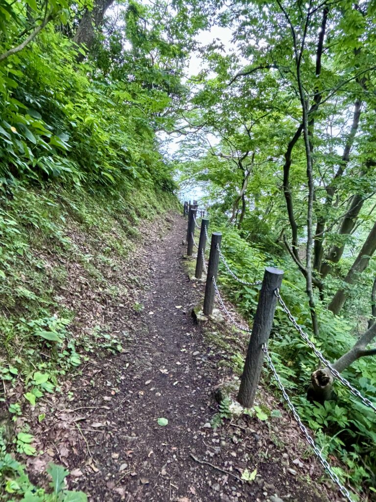 遊歩道1