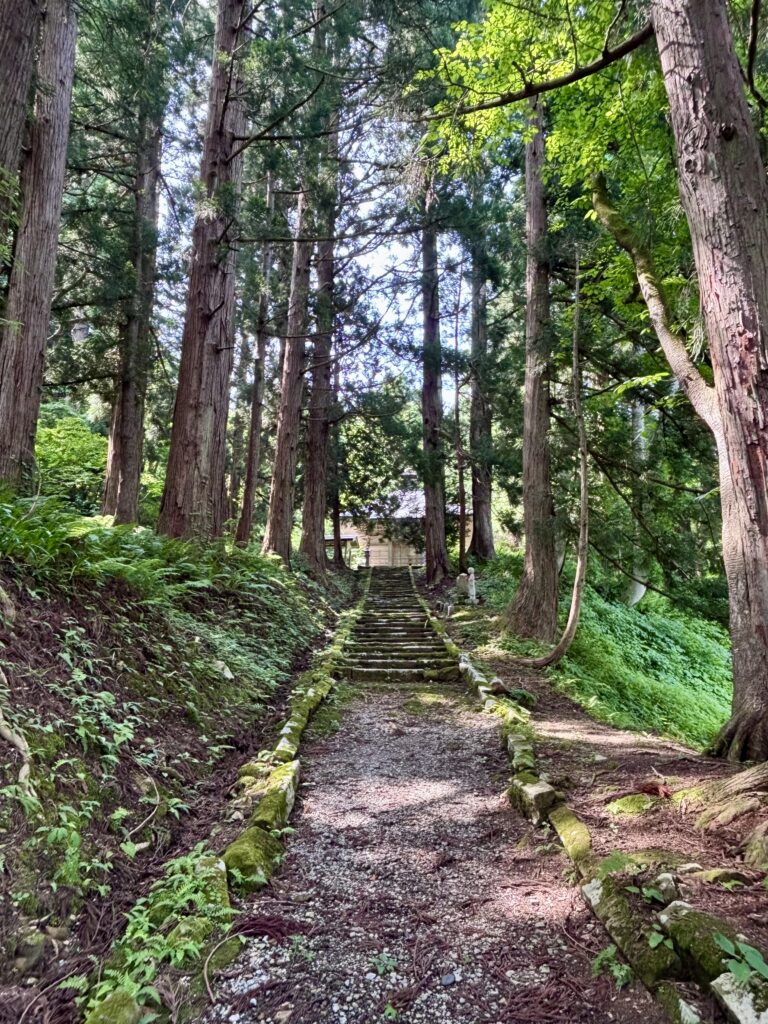 参拝路2