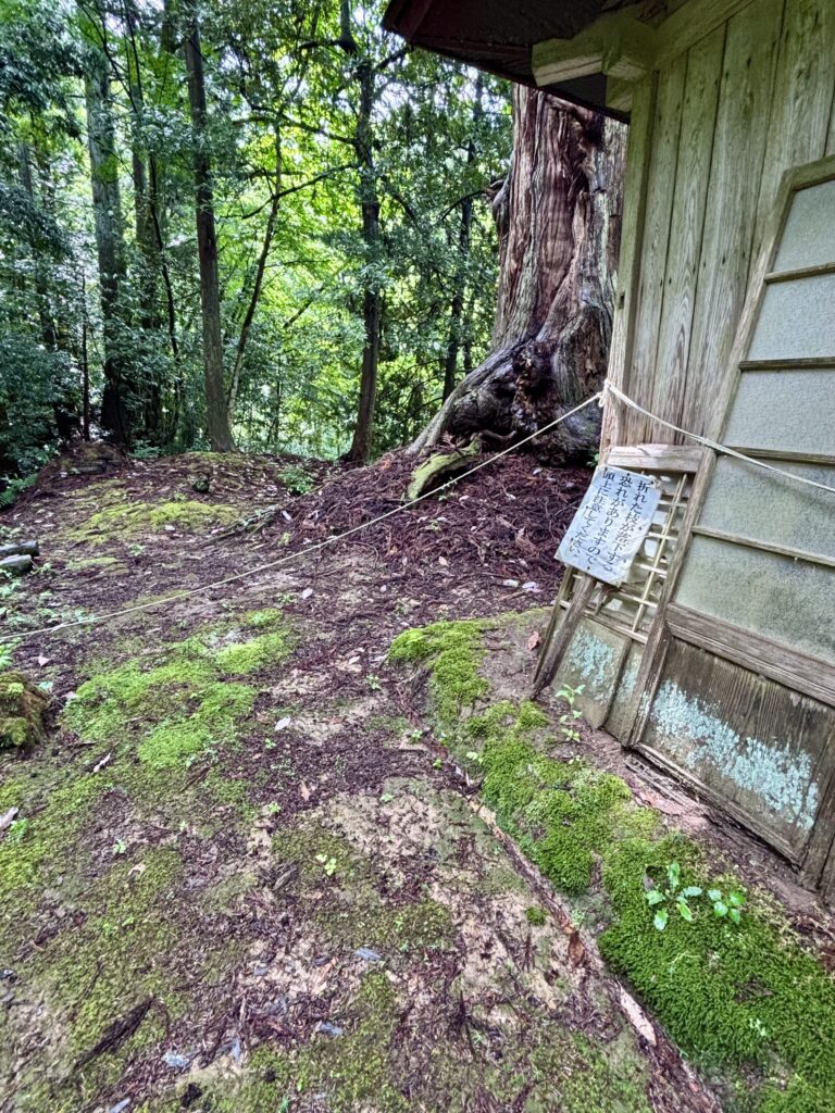 ロープが張られた場所