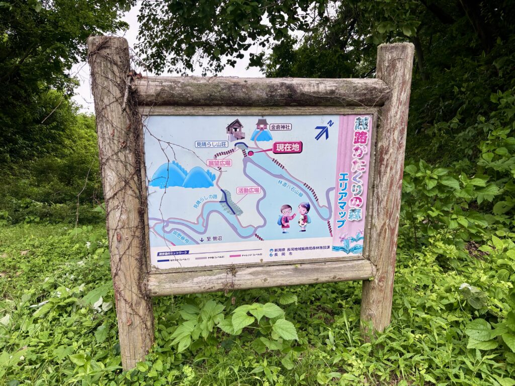 エリアマップ