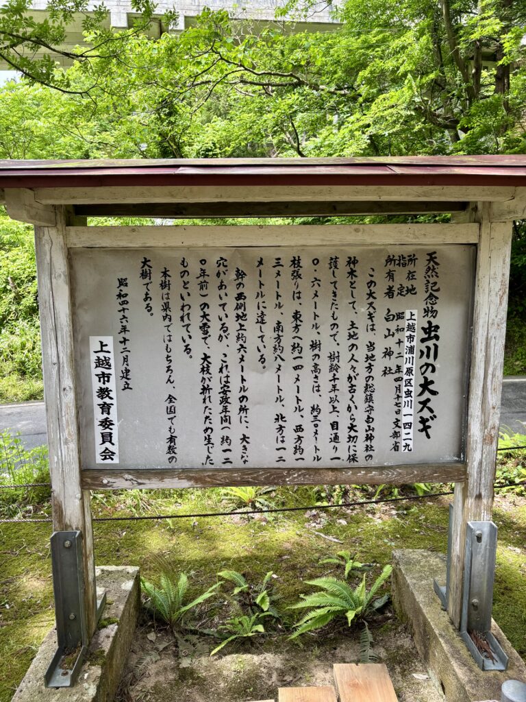 説明看板