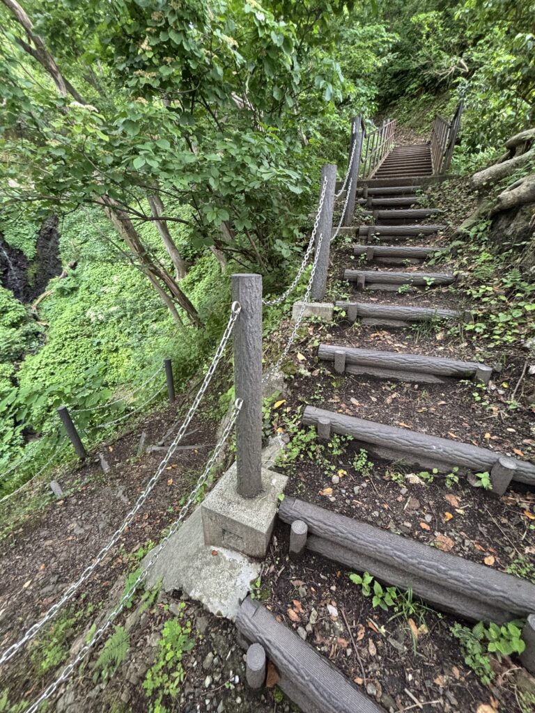遊歩道2