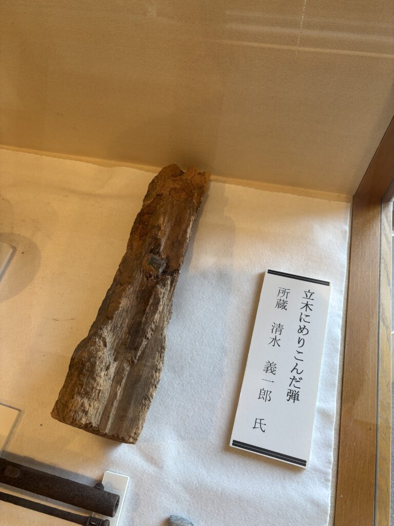 資料5