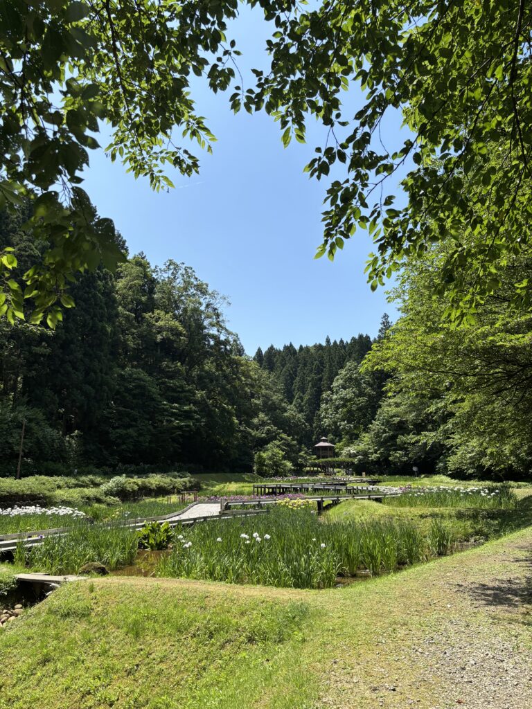 花菖蒲園