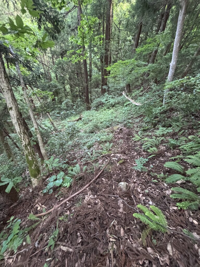 急坂