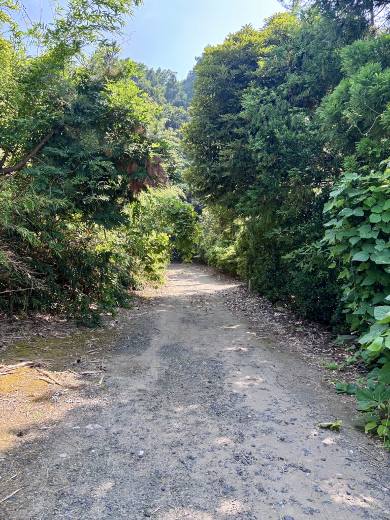 順路1