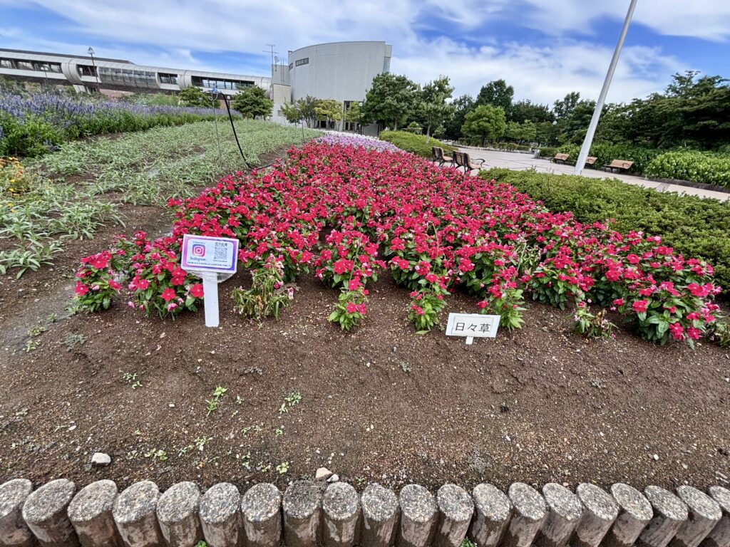 花の広場２