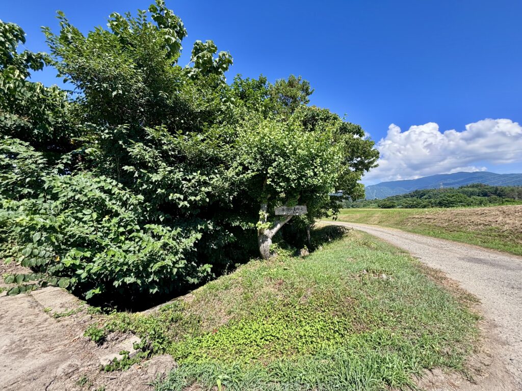 入口の看板