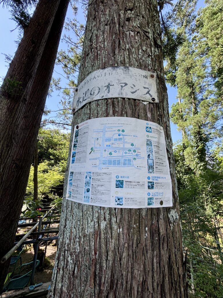 周辺地図