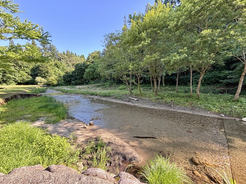 中ノ沢渓谷森林公園1