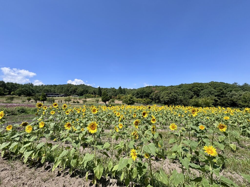 阿賀町【芦沢ハーバルパーク】