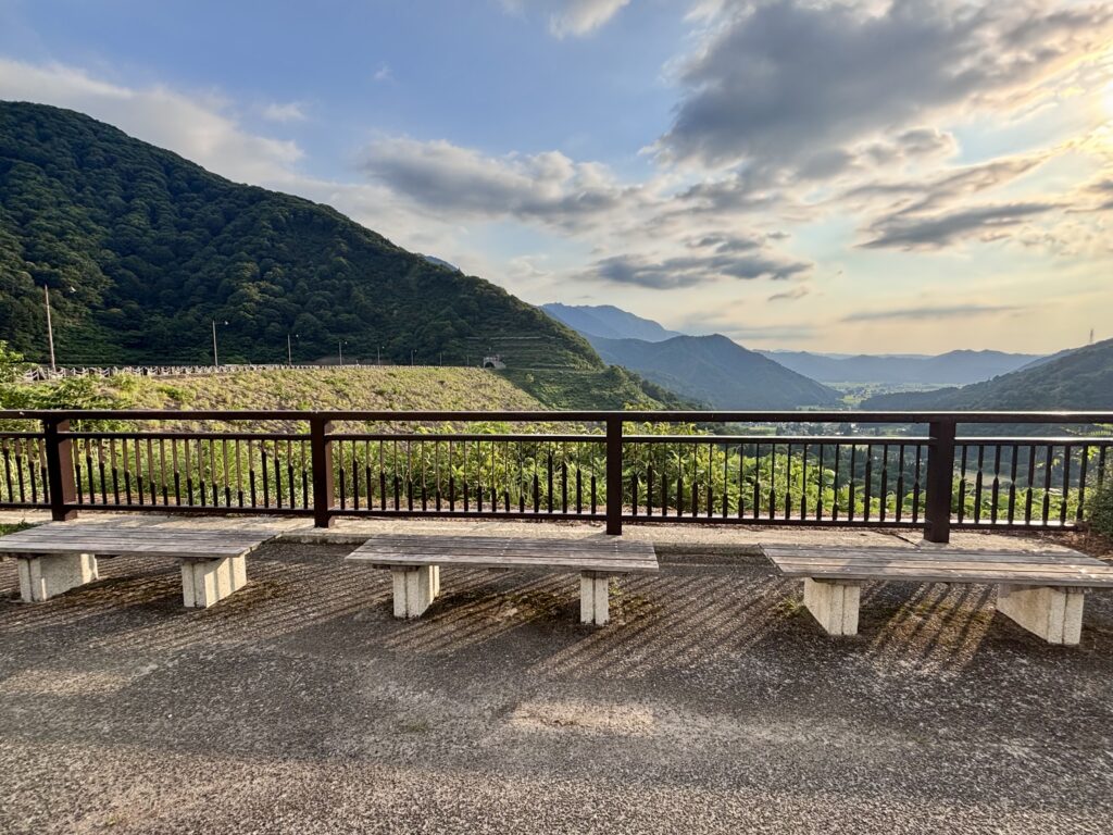 ベンチ