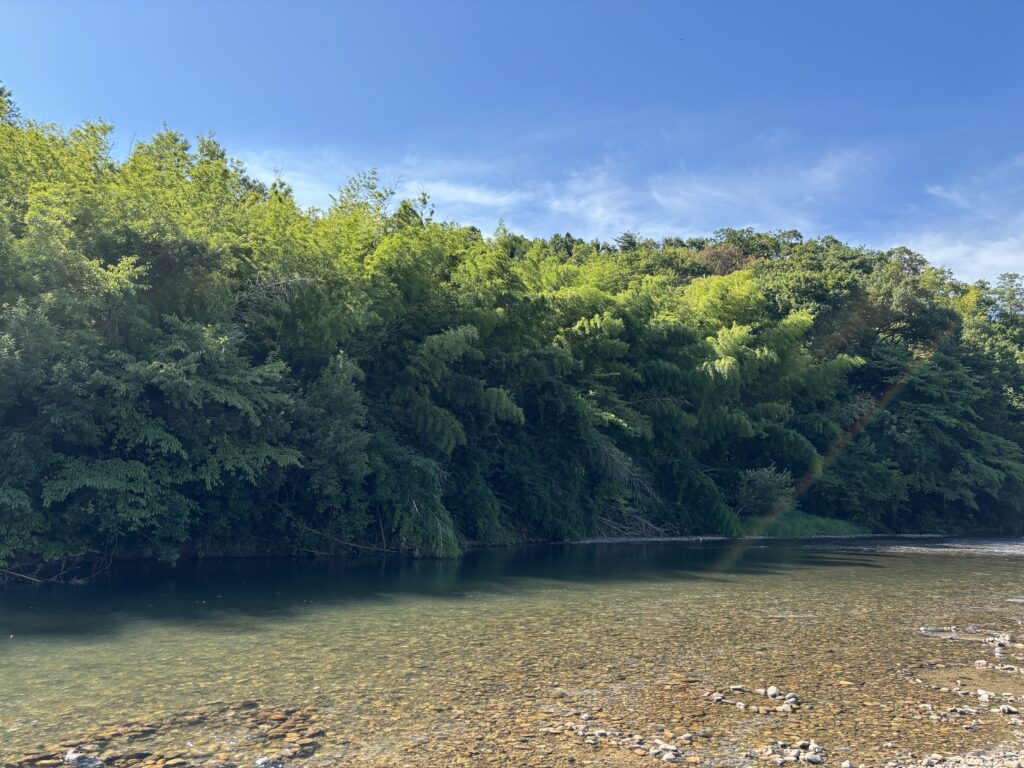 岡田の天然プール(加治川)