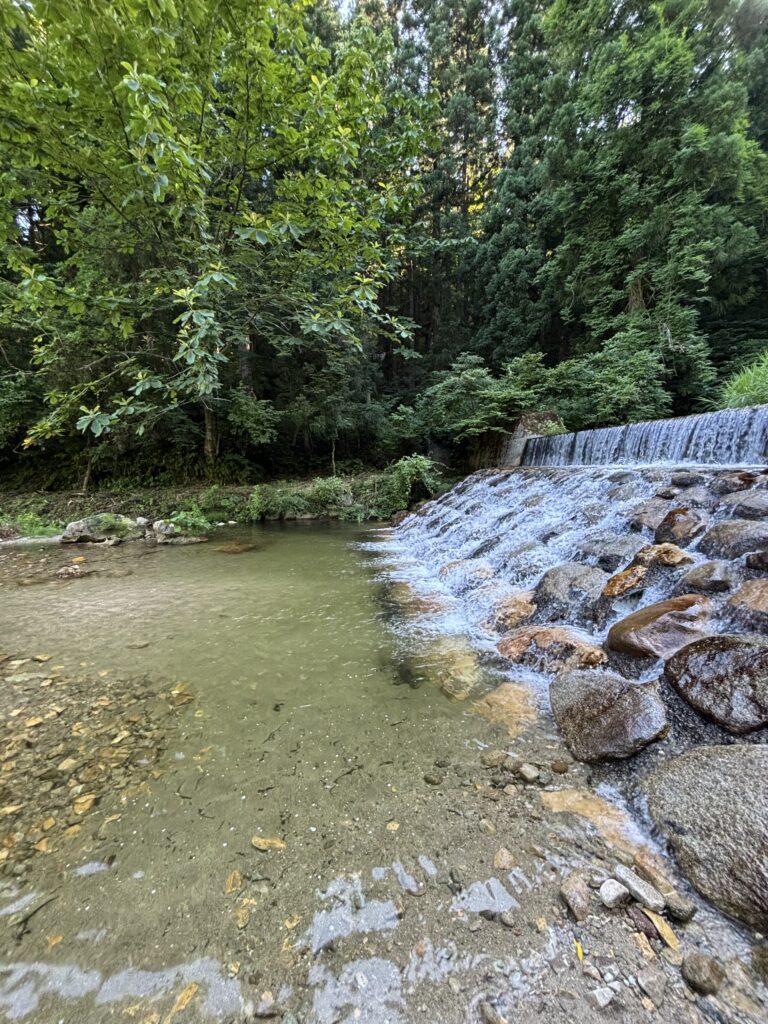 中ノ沢渓谷森林公園2