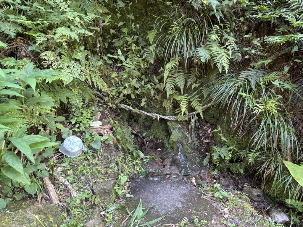 岩崎清水1