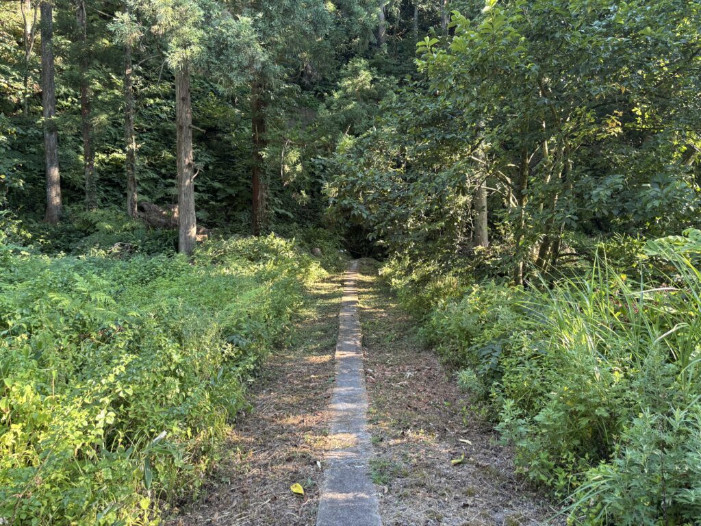 順路