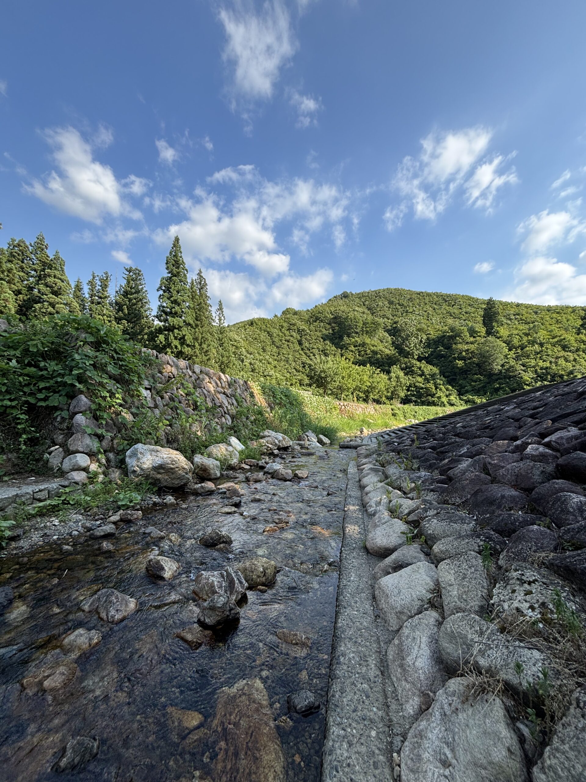 小黒川河川公園】豊かな自然に囲まれながらキャンプや水遊び - 新潟の
