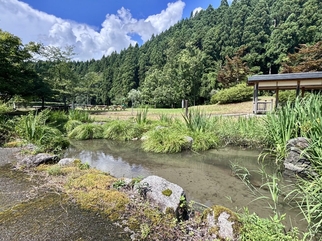 せせらぎ川2