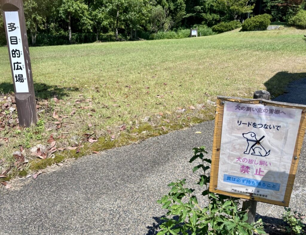 多目的広場