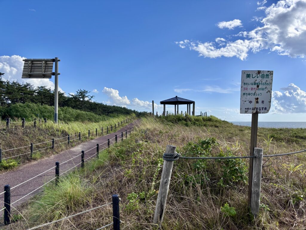 展望台までの道