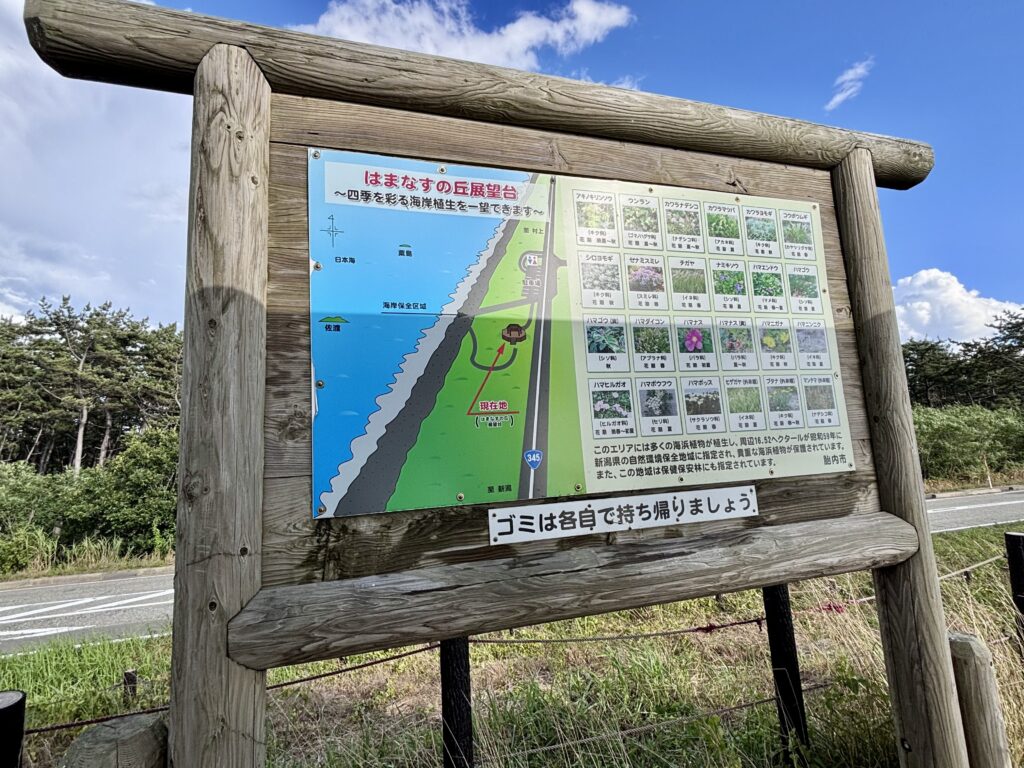 海浜植物の説明看板