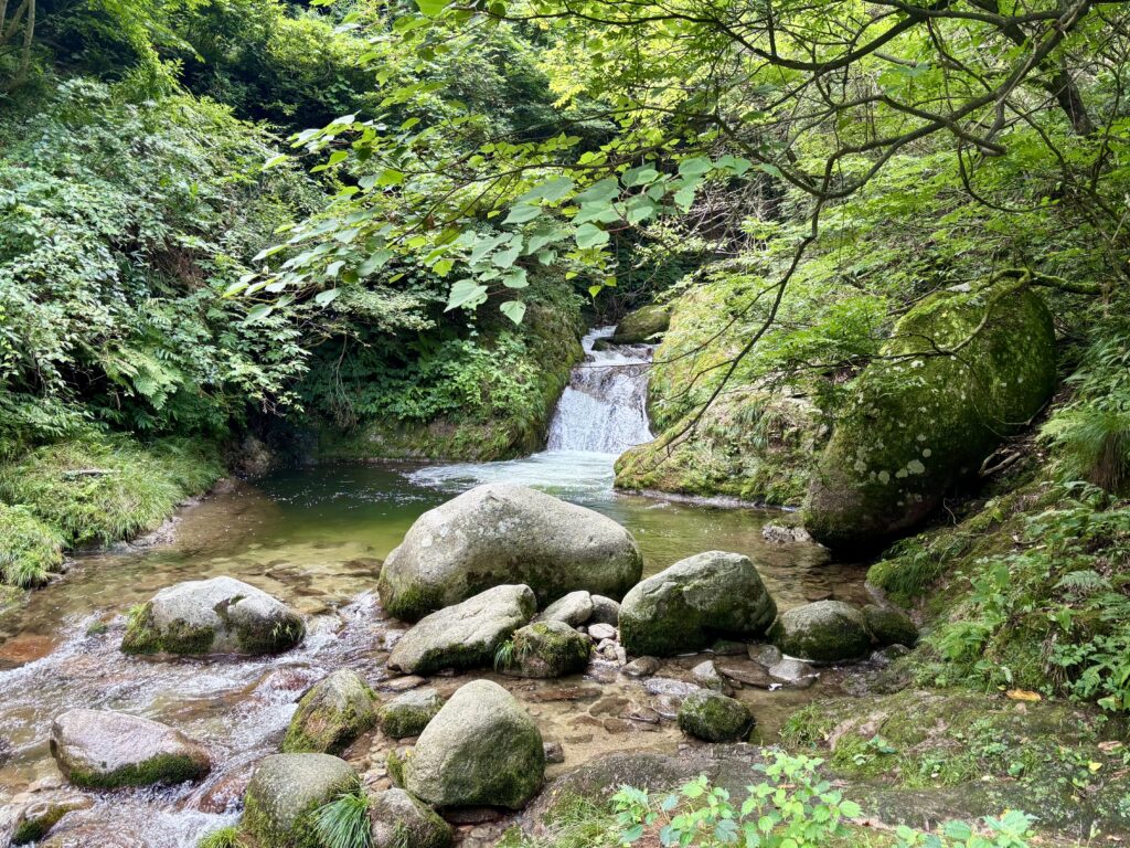 魚止めの滝2