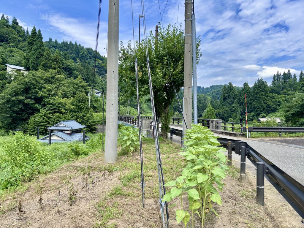 木籠水没家屋1